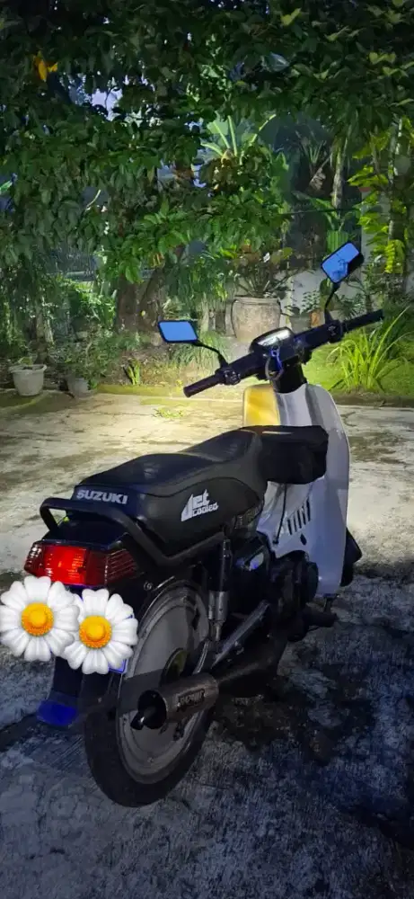 Suzuki RC 80 bravo