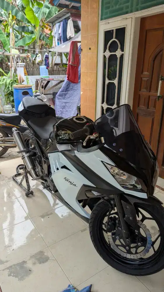 kawasaki ninja 250 fi