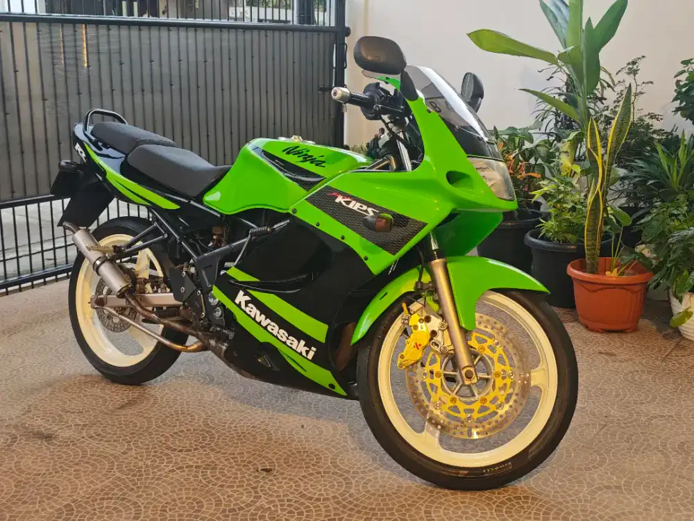 Ninja RR 2009 Special Edition