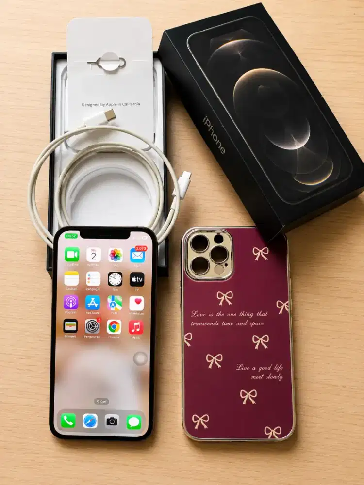 Iphone 12 Pro 256 Gb BEA CUKAI