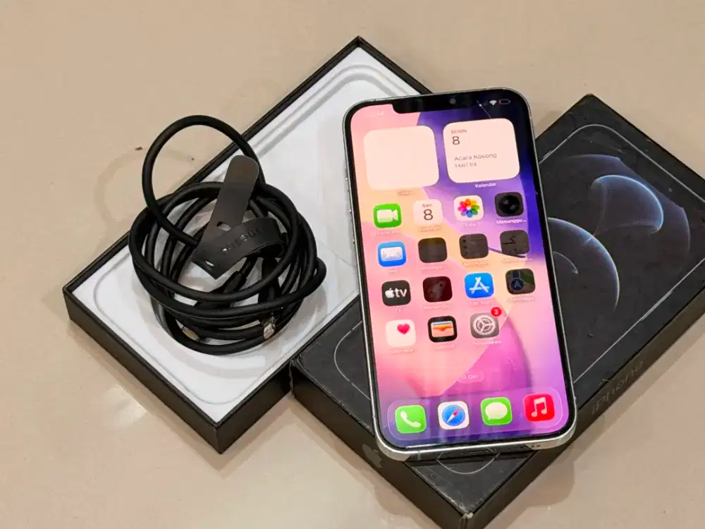 Iphone 12 PROMAX ALL OP bisa TT atau cash