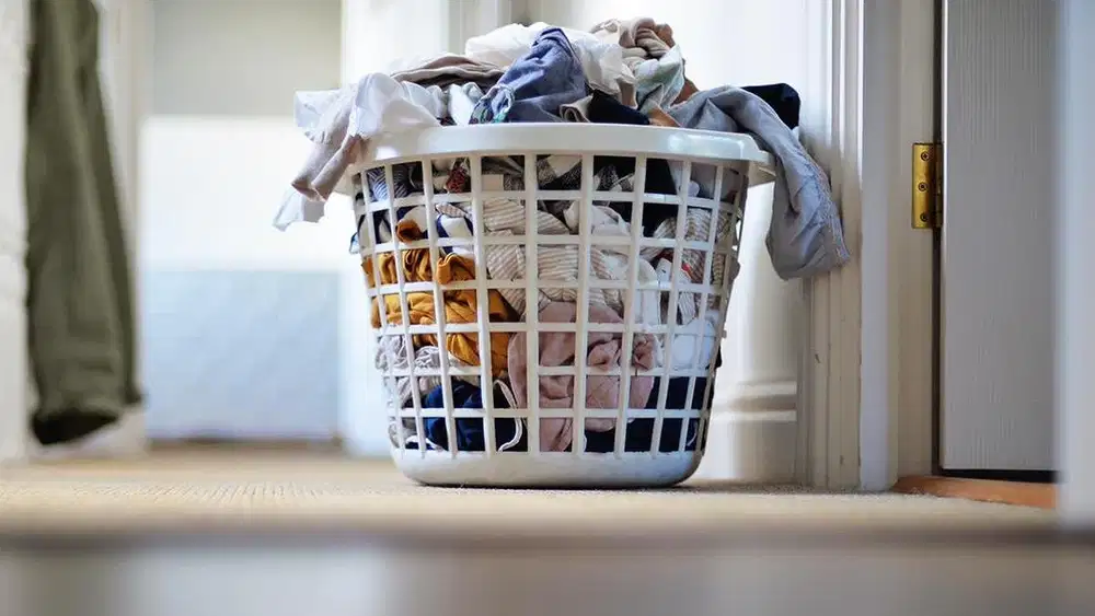 DICARI KARYAWAN LAUNDRY FREELANCE DAN TETAP