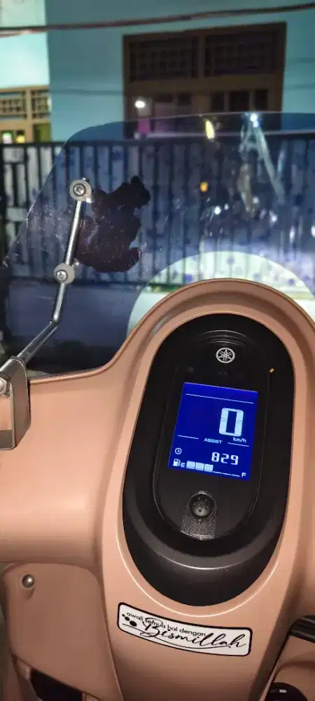 Fazio Pink mauve 2025