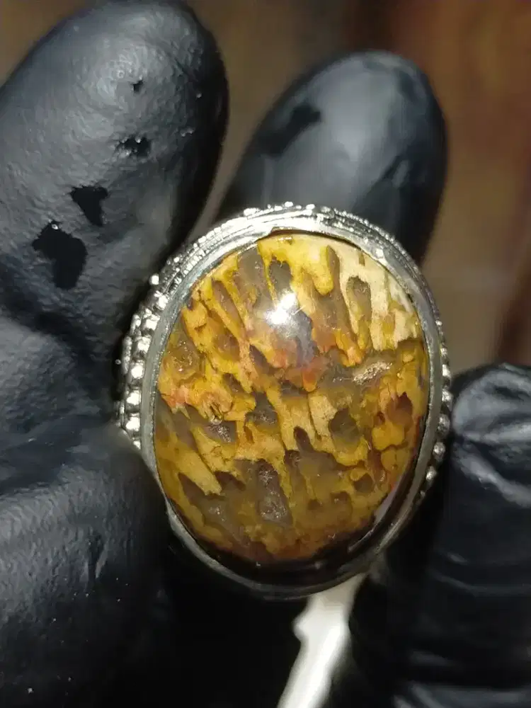 Cincin batu akik natural fosil aren