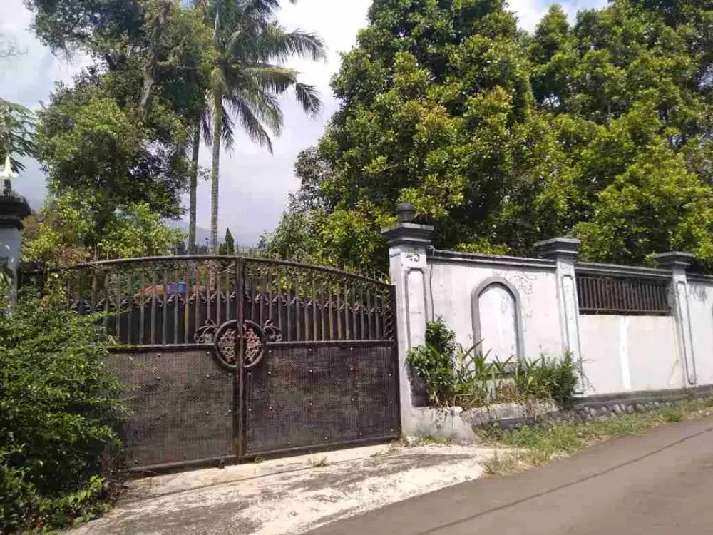 DIJUAL CEPAT VILLA RUMAH KEBUN LUAS JL TARUMANEGARA CIJERUK BOGOR