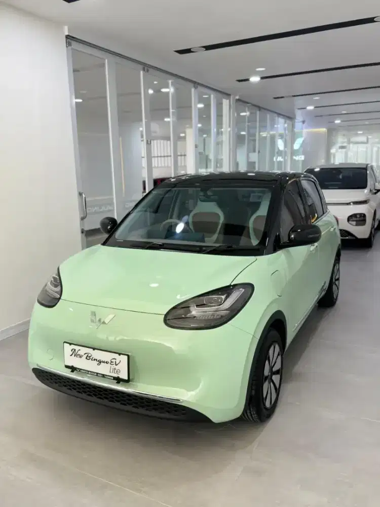 Binguo EV Lite 333KM