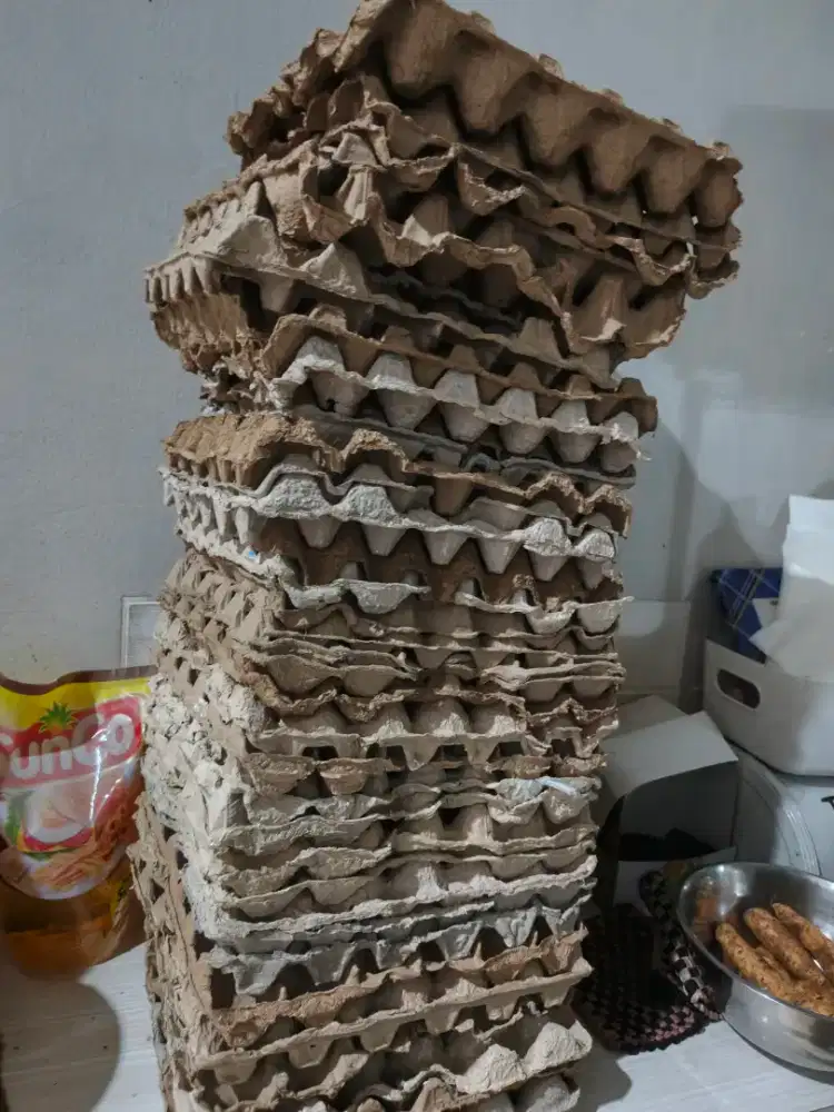 TRAY KOTAK TELUR BISA BUAT KERAJINAN TANGAN