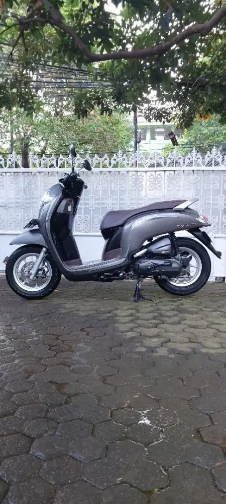 Honda Scoopy Stylish 2020