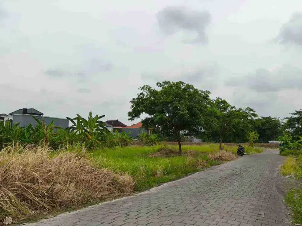 TANAH LUASAN KECIL DUA PLOT DALUNG AREA