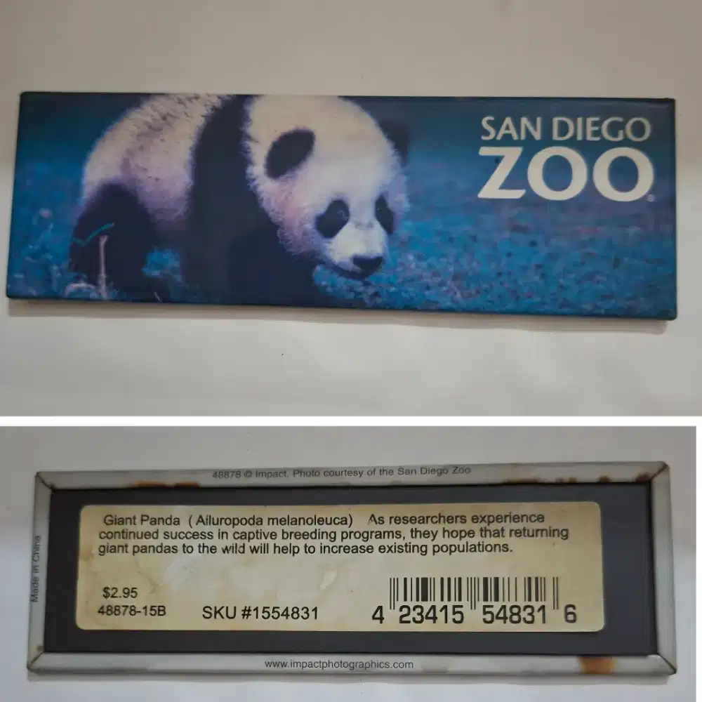 Collector Item: Souvenir Magnet/ Tempelan Kulkas dari USA