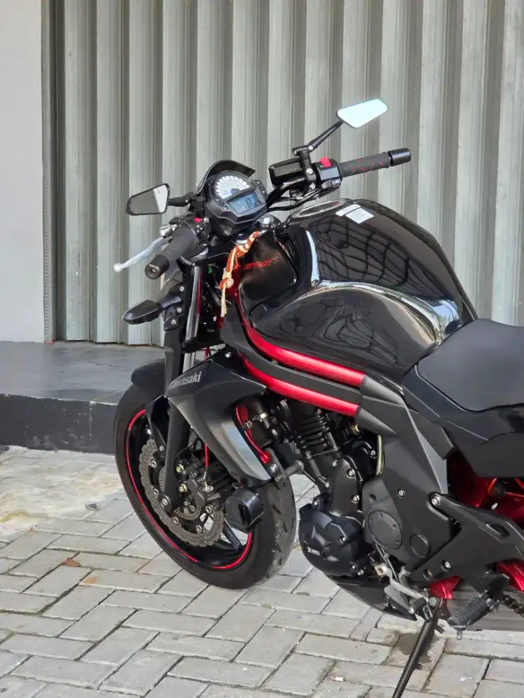 Moge Naked Kawasaki ER6N/ER6 ABS th 2015 Red Chasis Rare Like New