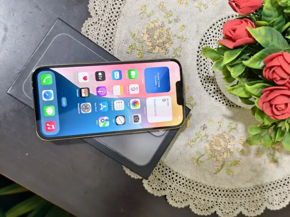 iPhone 13 pro max 128