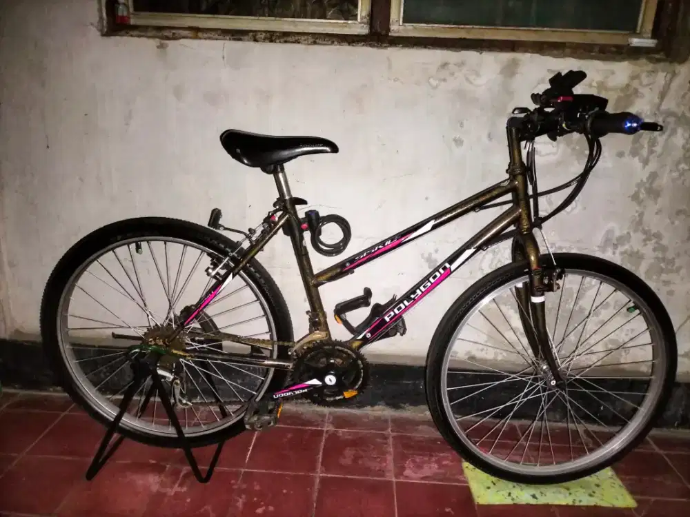 barang kali ada yang minat ,sepeda federal lady