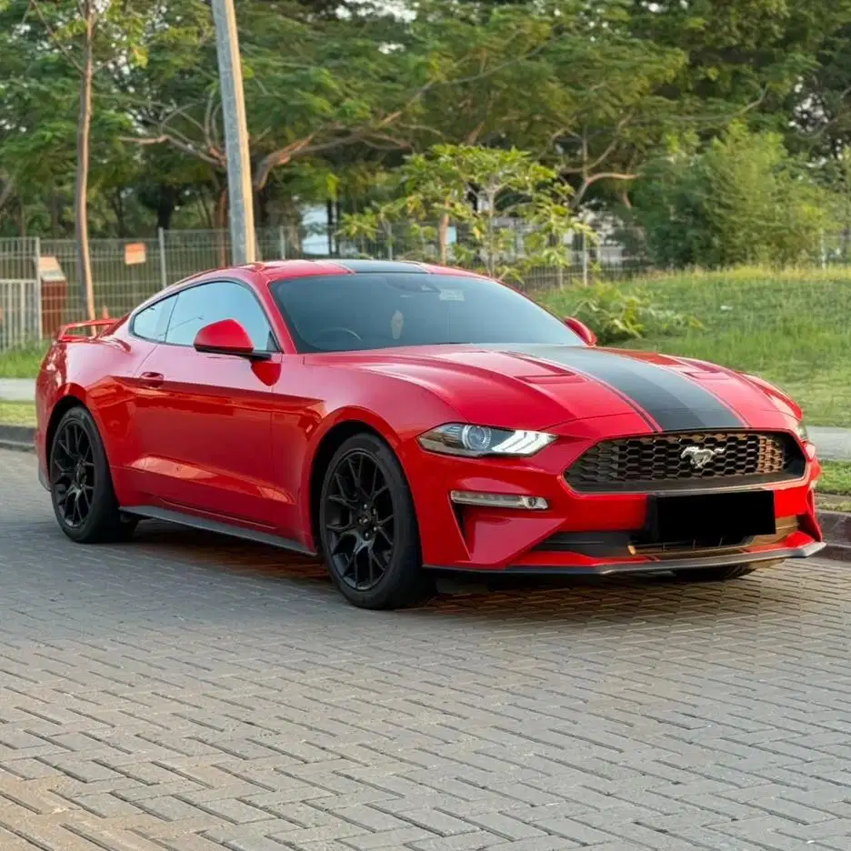 (CASH) Ford Mustang 2.3L High Performance 2019