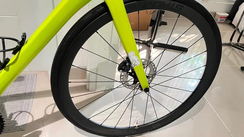Wheelset strummer