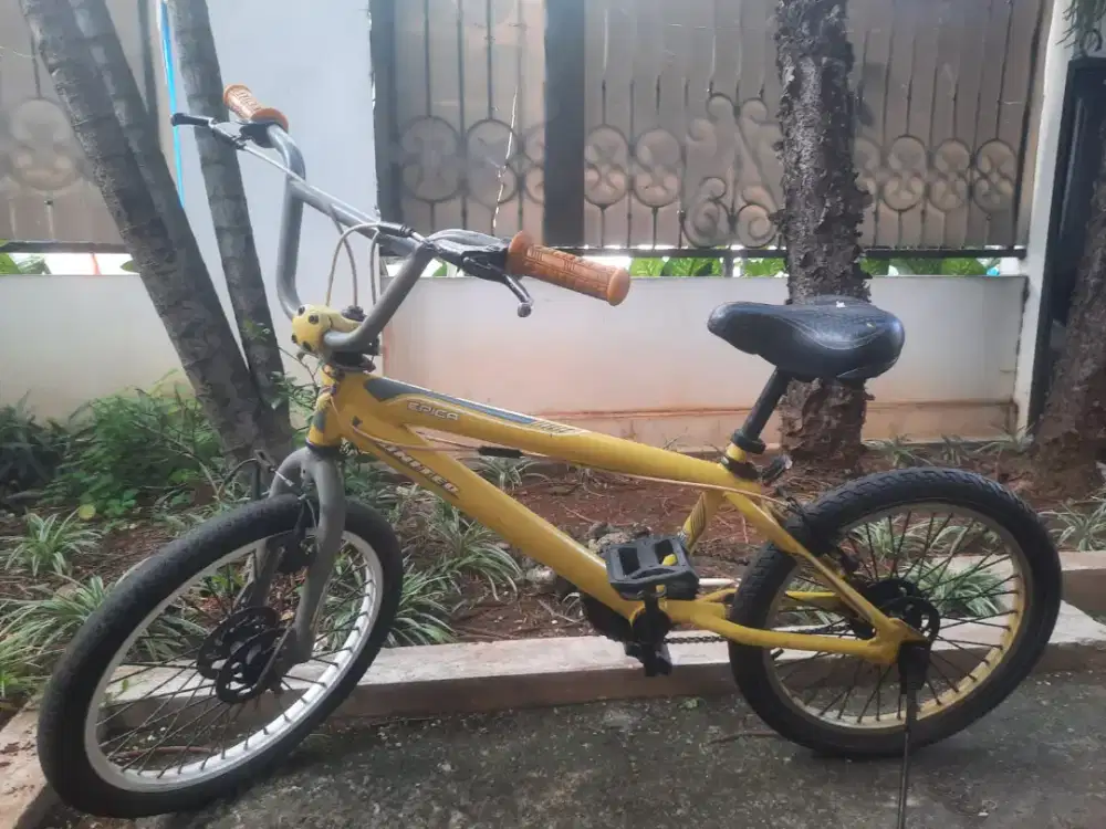 Sepeda united epica 20 rotor