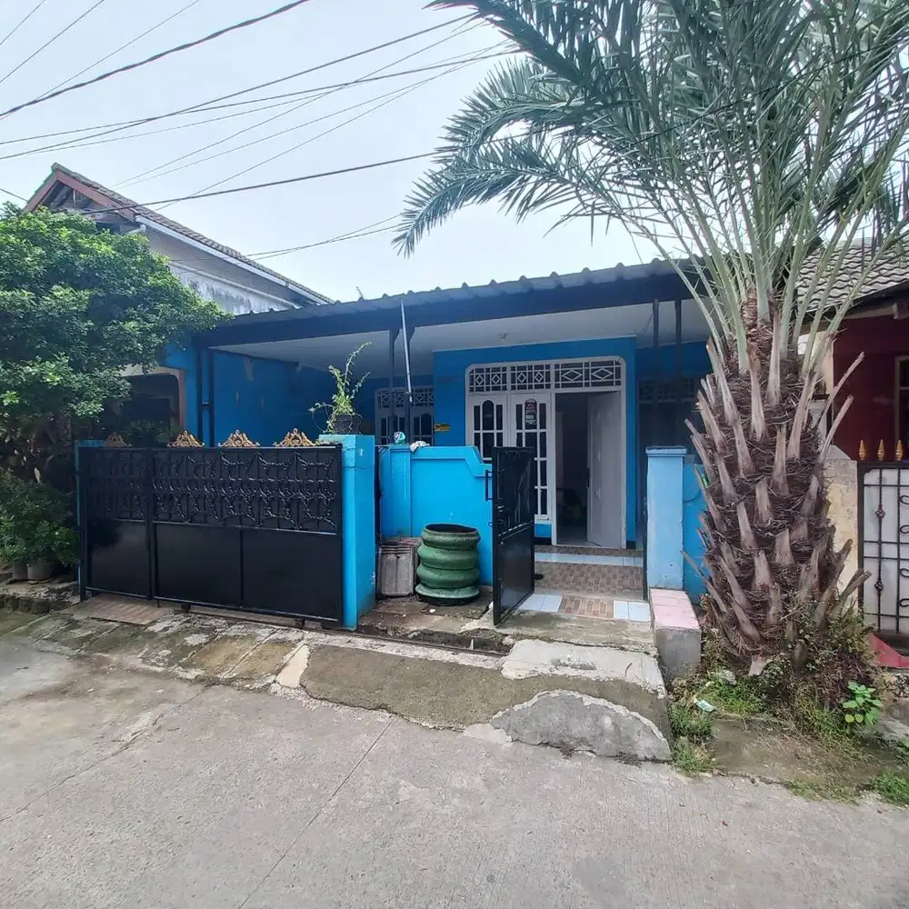 Rumah sewa warna Biru nan Asri