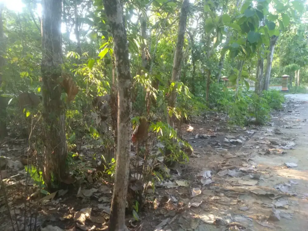 Dijual tanah kapling