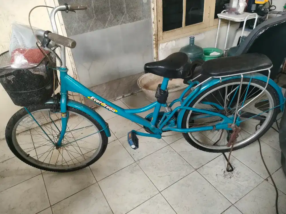 jual sepeda utk ke pasar
