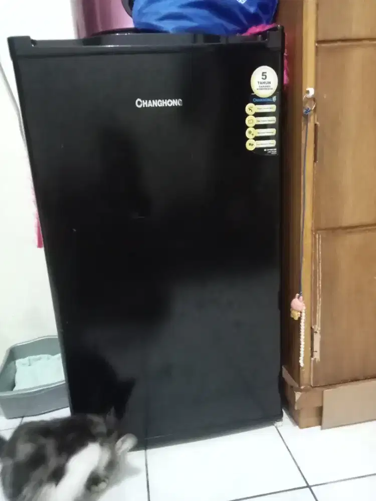 Kulkas 1 pintu merk Changhong