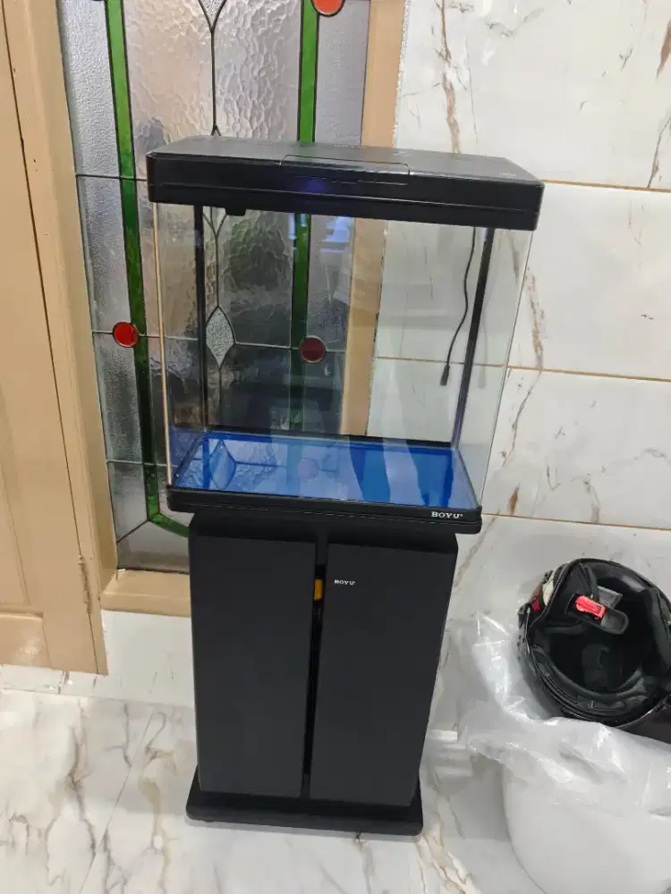 Aquarium ikan  boyu