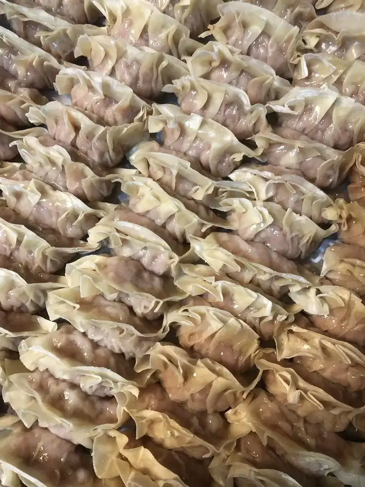 Gyoza Ayam Homemade