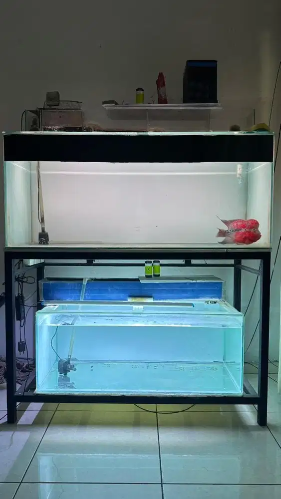 Aquarium 120x50x50 fulset