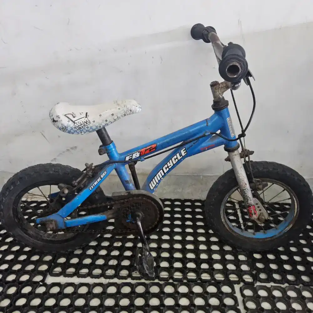 Sepeda Anak Wimcycle Extreme BMX