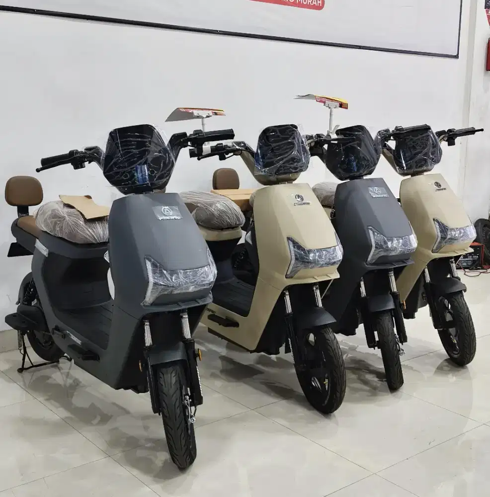 Stock Terbatas Pacifik Zeckrom 300 Sepeda Listrik Harga Termurah