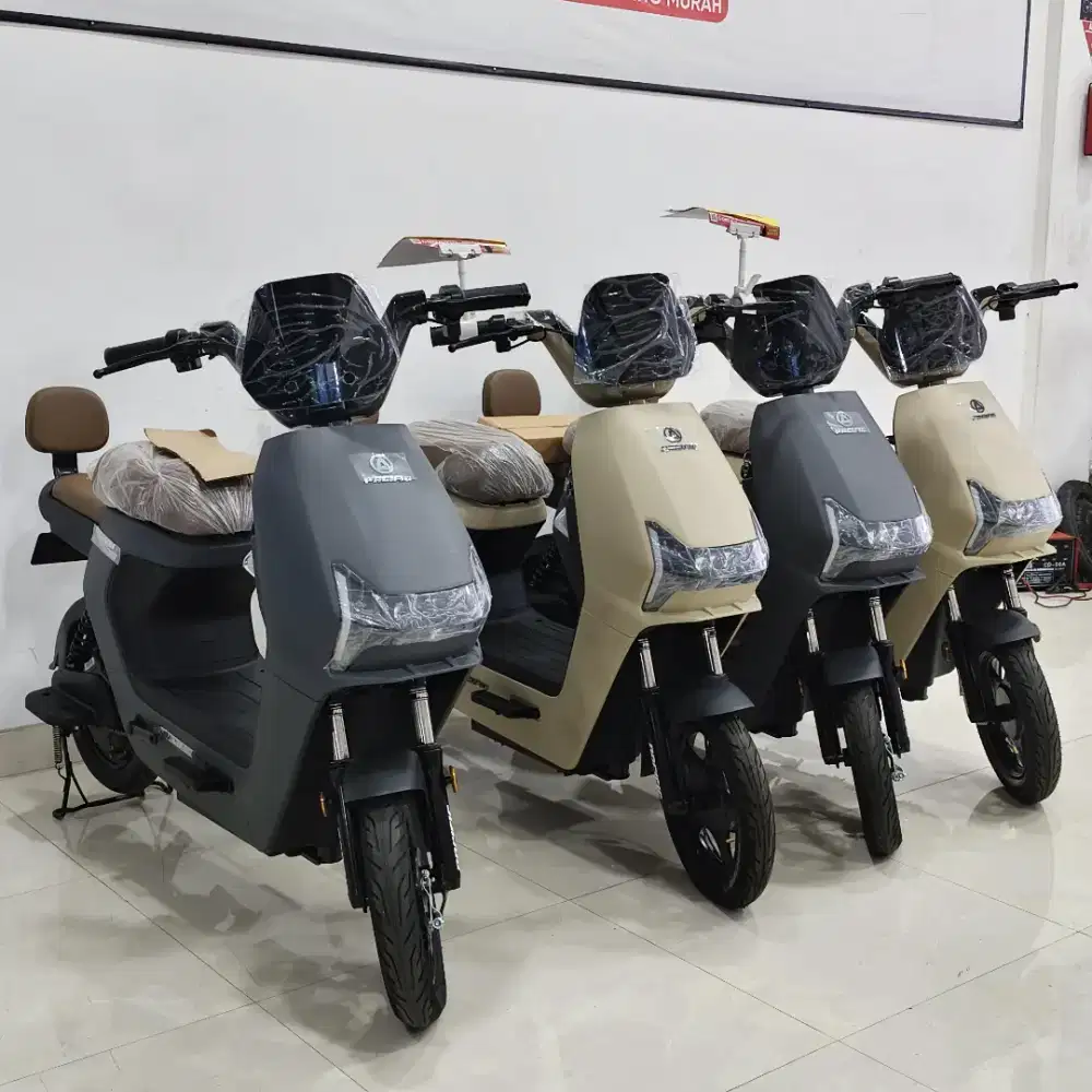 Stock Terbatas Pacifik Zeckrom 300 Sepeda Listrik Harga Termurah
