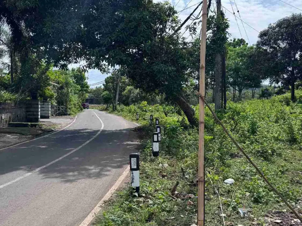 Di sewa kan tanah luas global 10.000m² yang terletak di kawasan Jl. pantai Balangan