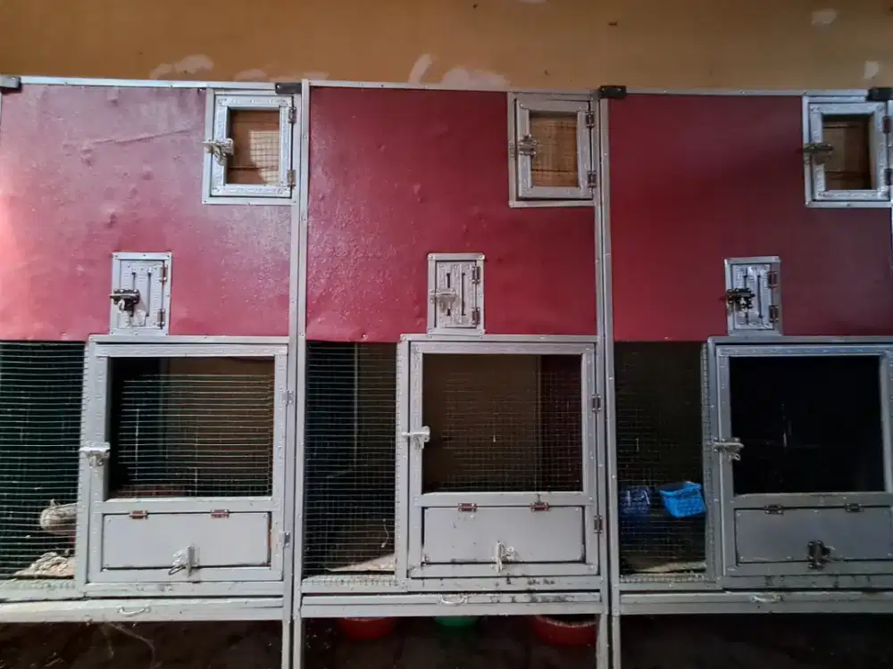 Kandang Ternak Burung