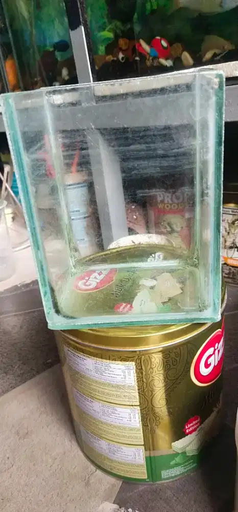 Soliter dan Aquarium Mini