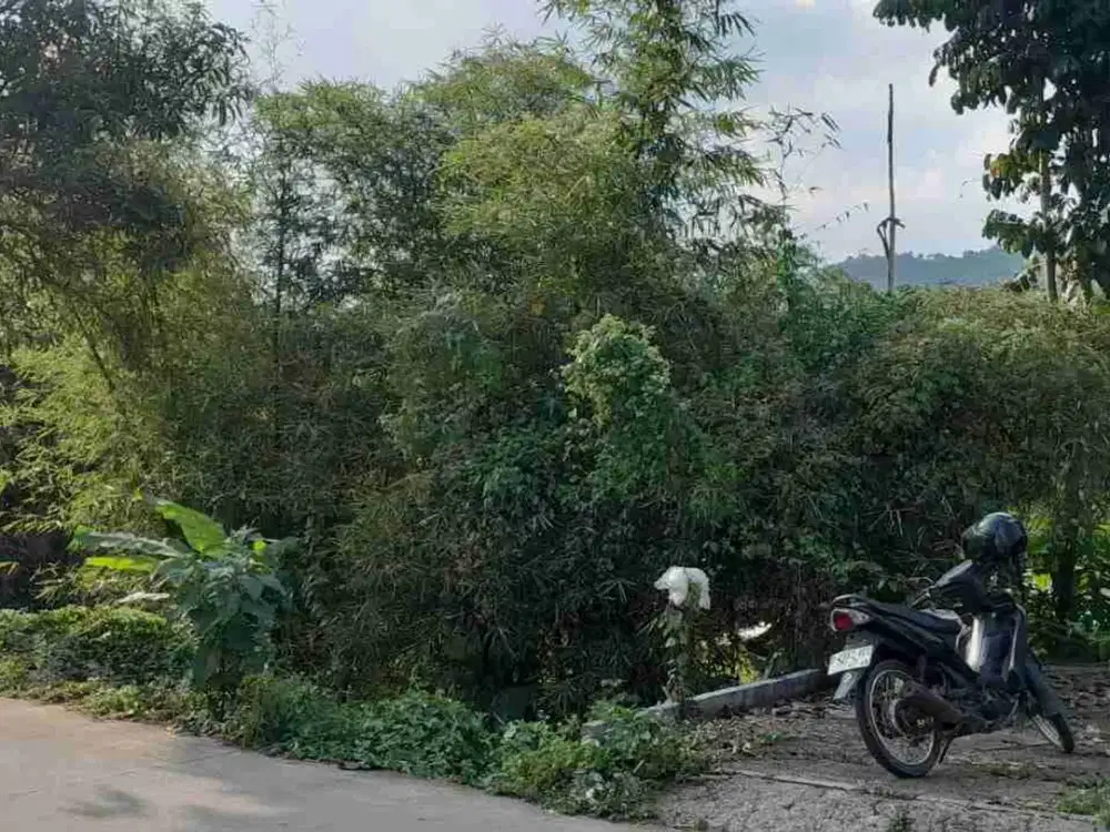 Tanah murah komersil
