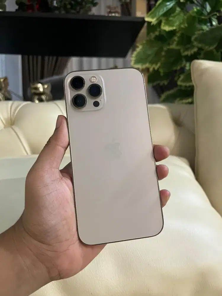 Iphone 12 promax 256 all operator