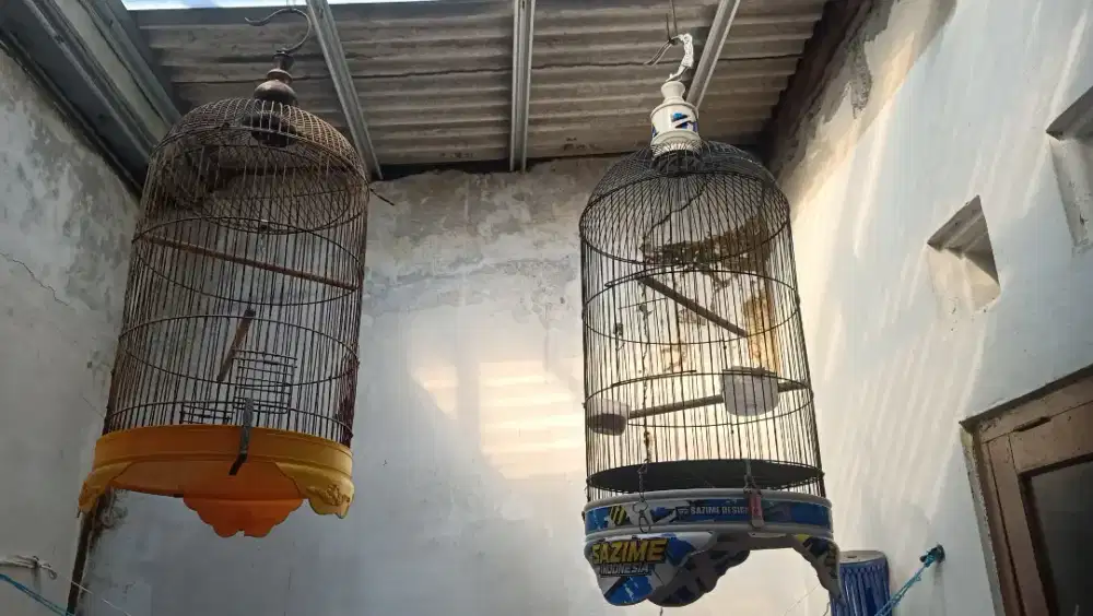 Jual mawon kandang burung seperti di foto Monggo