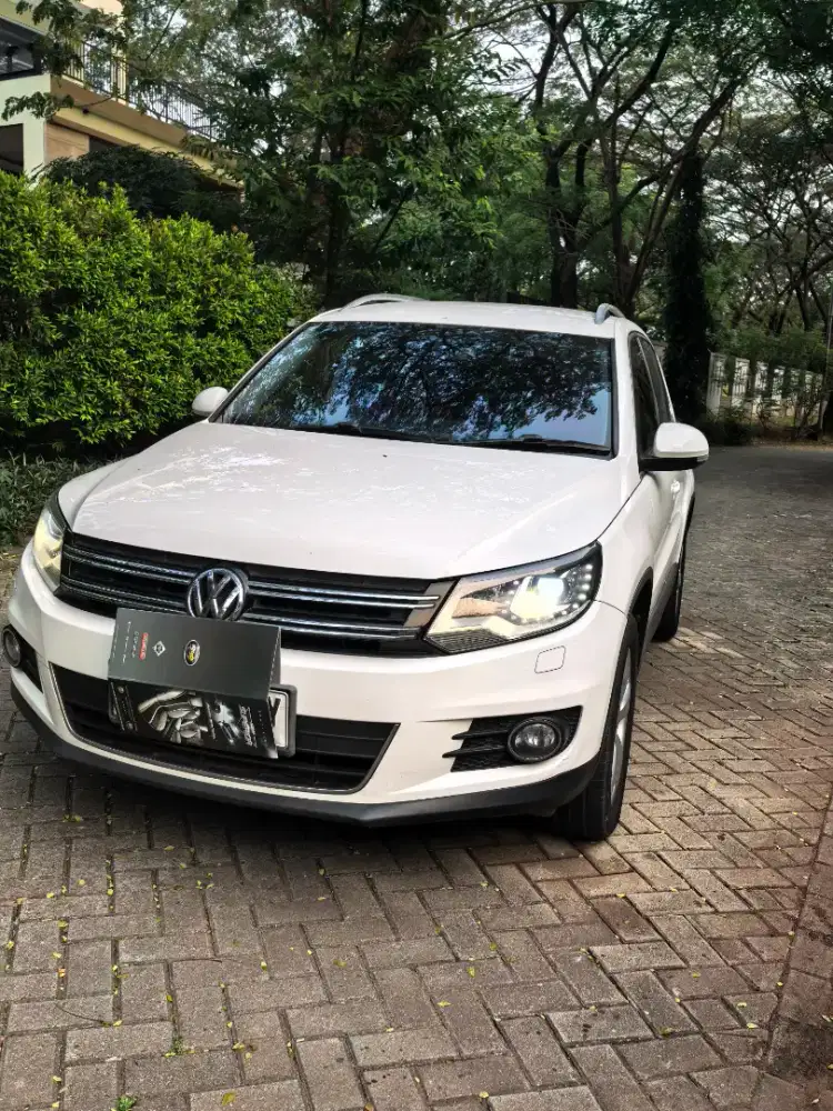 VW TIGUAN 2015, Warna putih