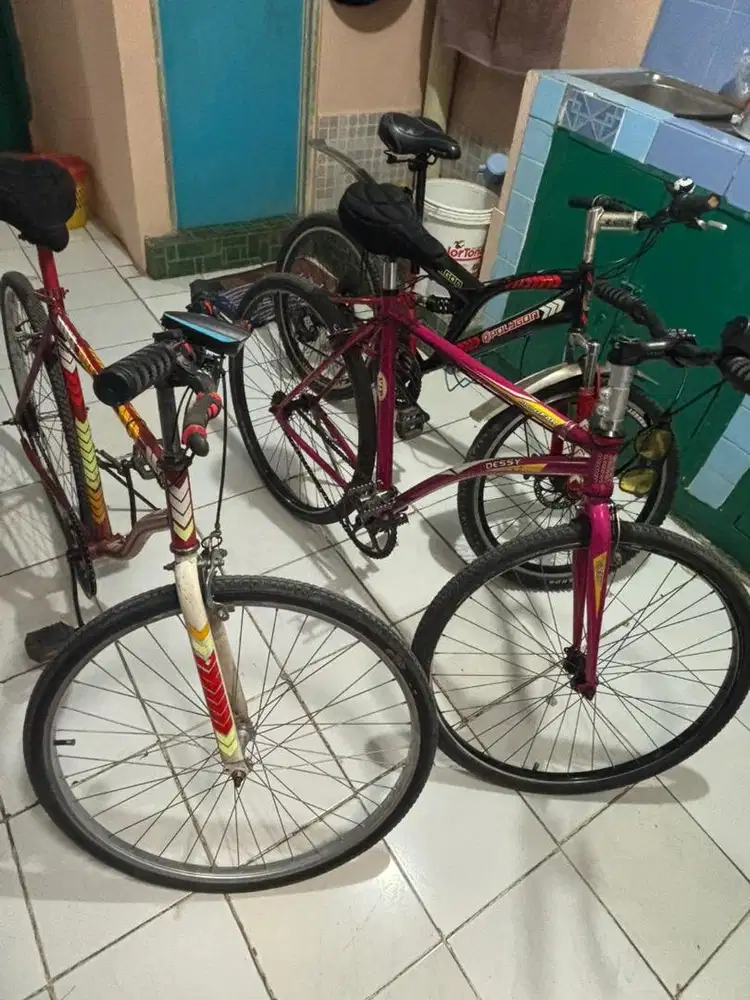 Sepeda fixie dan harian
