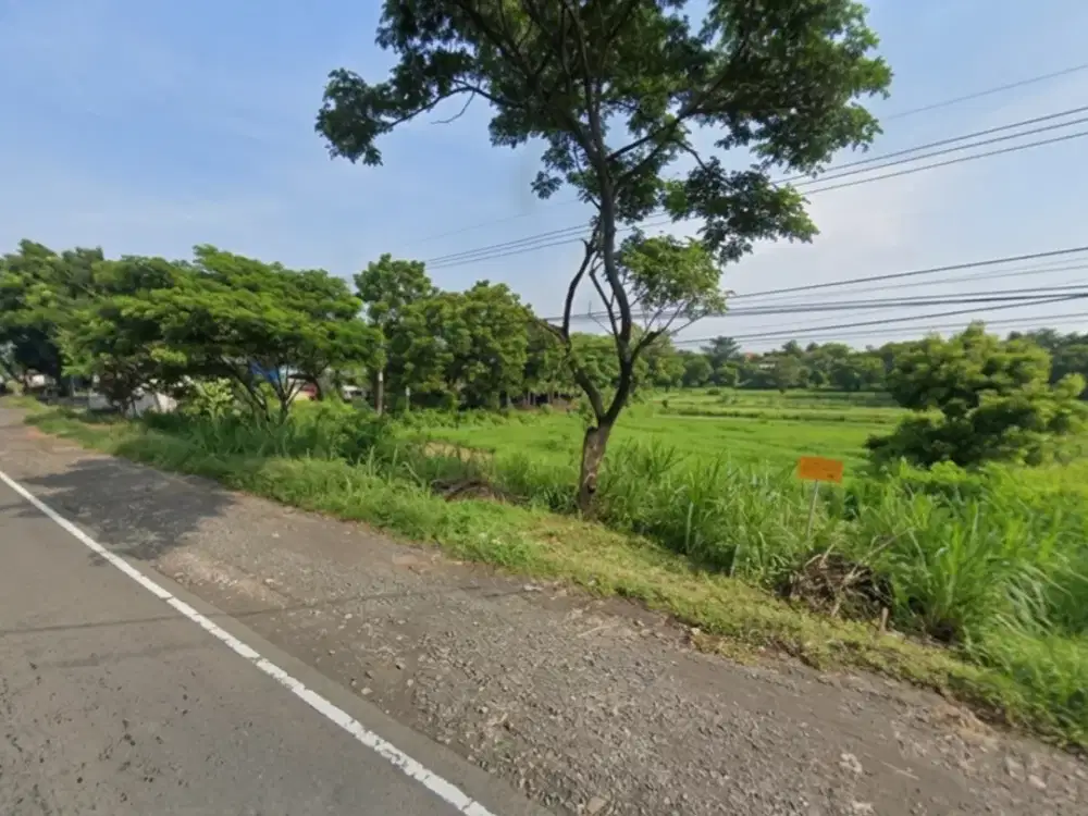 Dijual tanah datar 44.000 m² (4,4 Hektar) di jalan provinsi Pasuruan