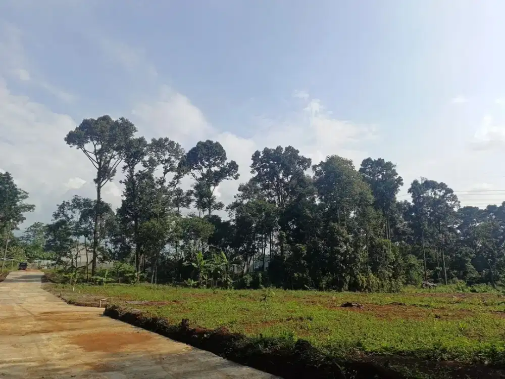 Tanah murah di cepoko dengan DP 60 jutaan SHM gunung pati