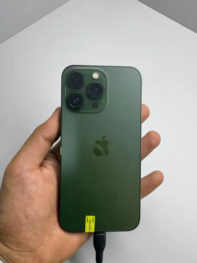 13 pro 256 beacukai