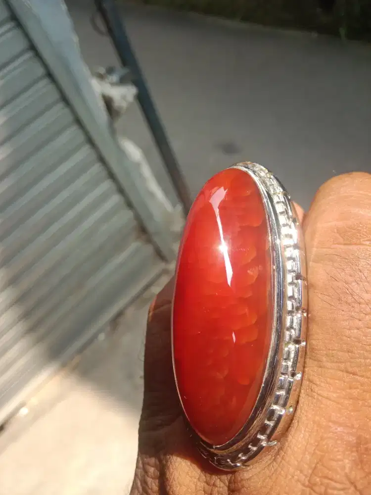 Baru pandan merah babon