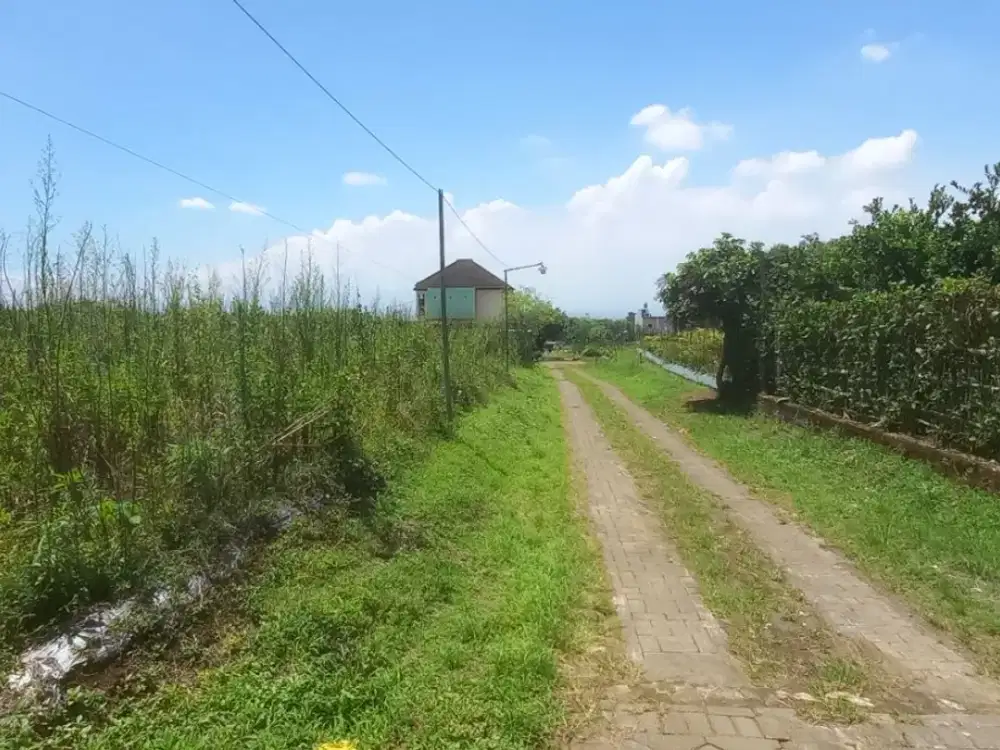 Cocok Bangun Kos Kosan 5 Menit Kampus UB Malang Tanah Malang SHM Split