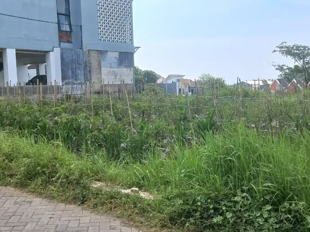 Cocok Dibangun Rumah Tanah Malang Row Jalan 6 Meter 5 Menit Kampus Muhammadiyah Malang