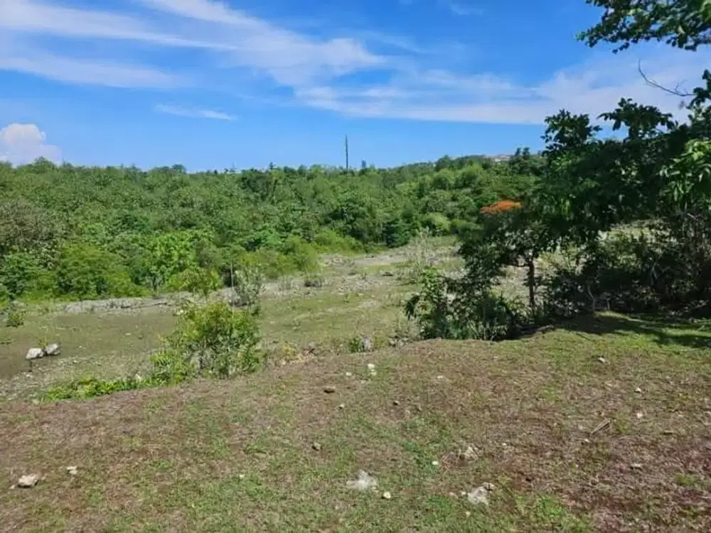 TANAH PREMIUM DI PANTAI BALANGAN JIMBARAN BALI ZONA PINK