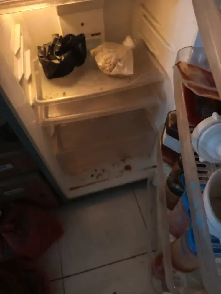 Kulkas Flavio 2pintu nomal orisinil dingin