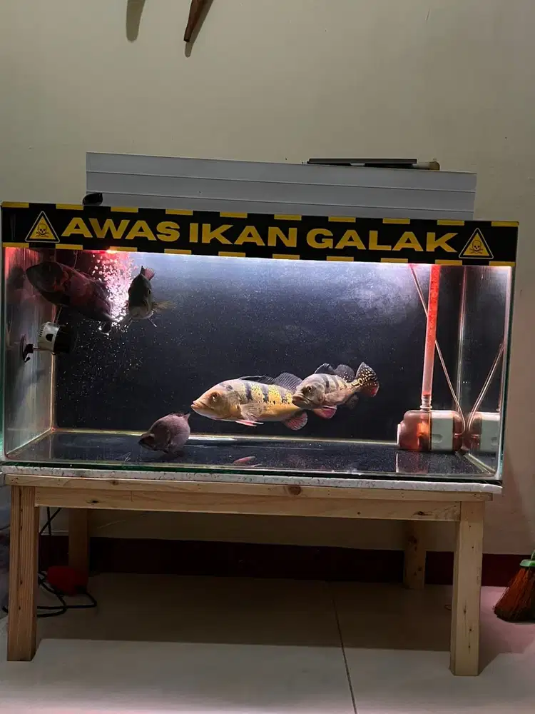 Aquarium 80x40x40 alas 8mm samping 5mm