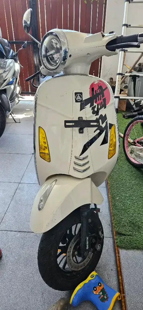 Molis Exotic 2024