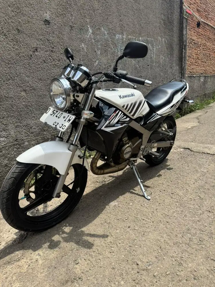 NINJA R 2012 Albino