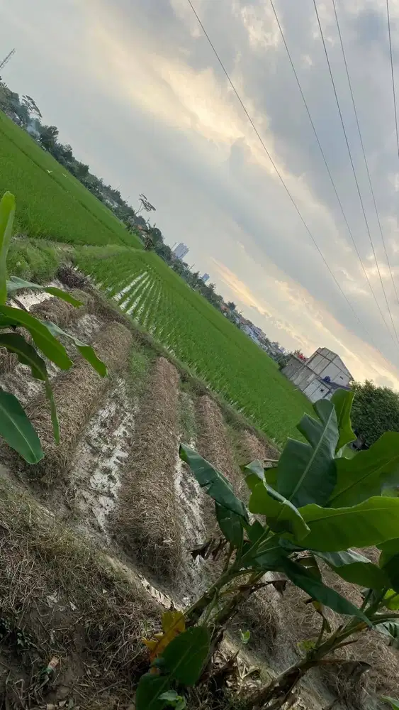 DIJUAL TANAH STRATEGIS KARAWANG BARAT Luas Tanah: 2.410 m²
